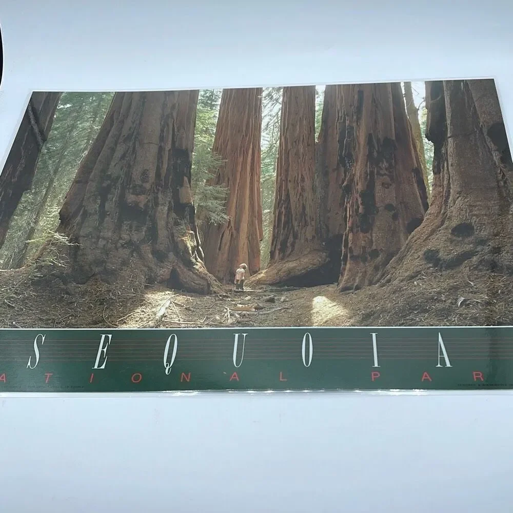 Vintage Souvenir placemat 2 sided Kings Canyon Sequoia N.P.
